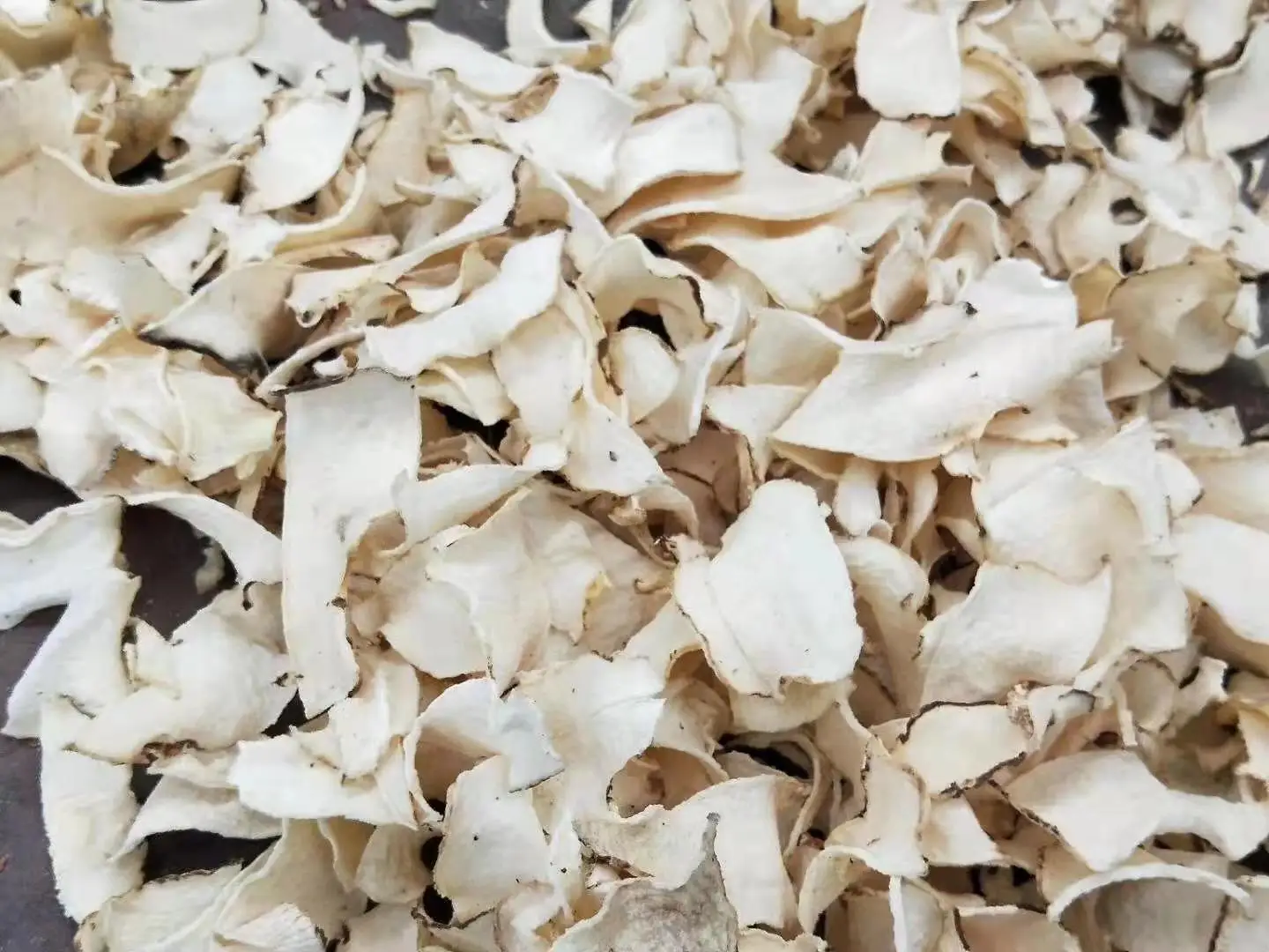 Konкак чип сушилка машина для фруктов овощей Сушилка Konjac энергосберегающая Konjac сушилка