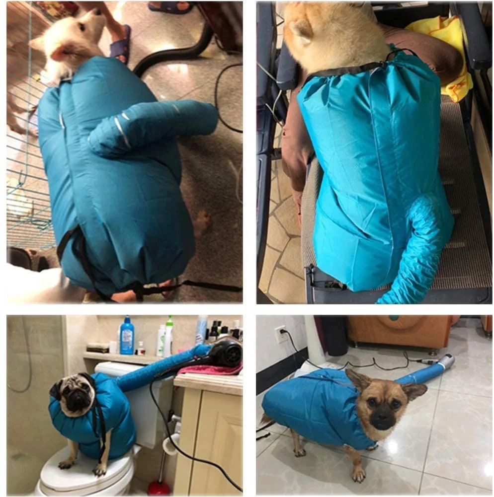 Ly Pet Grooming Set Supplies Produtos Shenzhen Pet Products Dogs And Puppies For Sale Grooming Products Pet Dryer Box