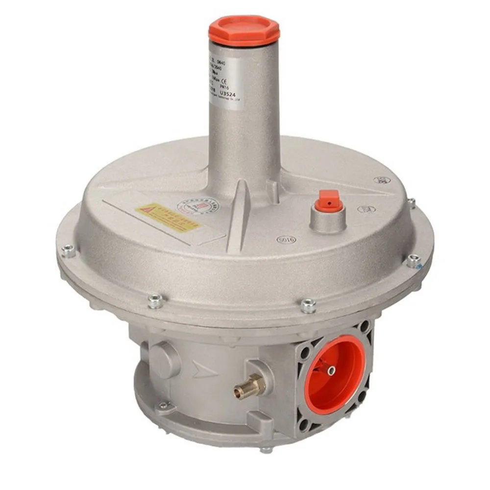 Gas pressure regulating valve natural gas pressure stabilizing valve Rp 2' DN50