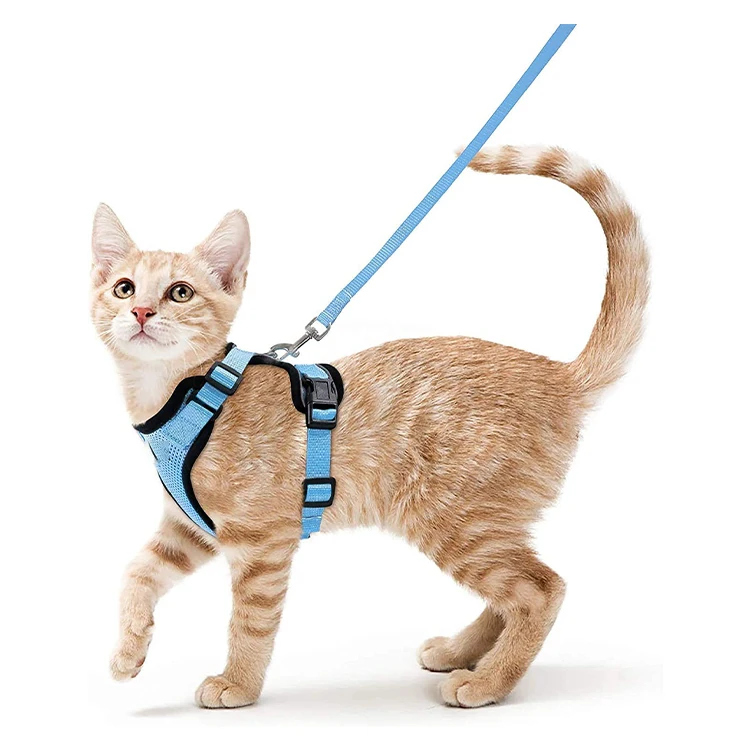 Pet collars and leashes carrier custom logo lightweight luxury harness for cat and retractable reflective pet leash outdoor easy