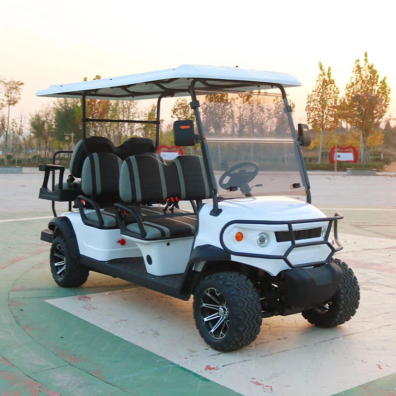 High Quality Cheap 6 Seat Golf Cart with Curtis Controller Off-road Carros de golfcar