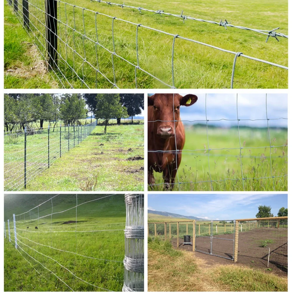 Boundary Fencing sheep and hogs Fixed Knot Deer Fence for Livestock hinge joint with high-strength tensile steel wire