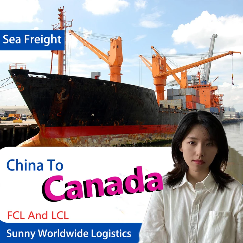 swwls freight forwarder lcl sea shipping agent from Qingdao/Ningbo to Vancouver port Canada ddp ddu