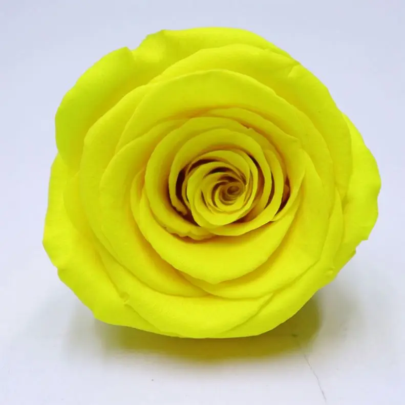 High Quality Low Price Factory Price Mini Bouquet Dried Flowers