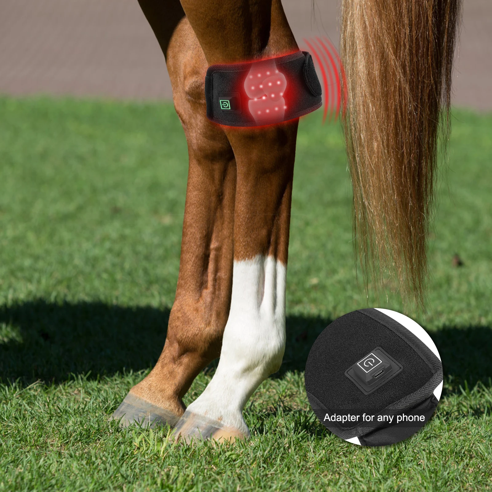Anredar 660nm 850nm Therapy Horse Horse Sports Tendon Boots Bandages Hoof Boots red infrared light  wrap for horse