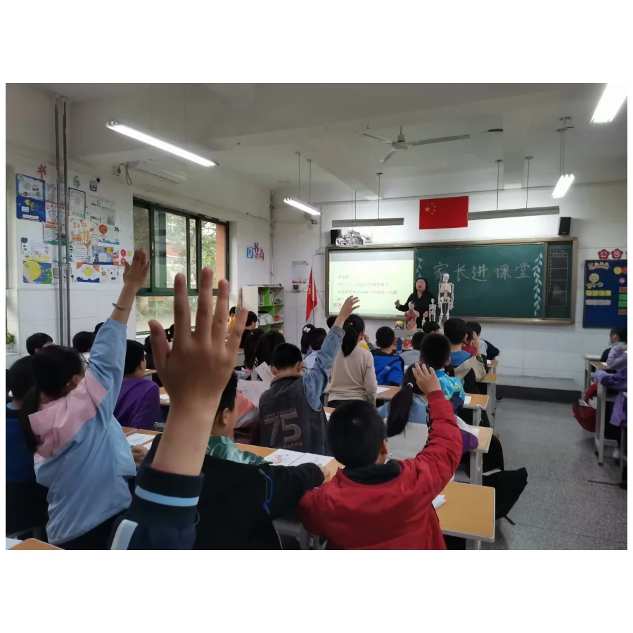 BIX-A1068 natural size heart anatomical models medical science  training simulator for teaching student