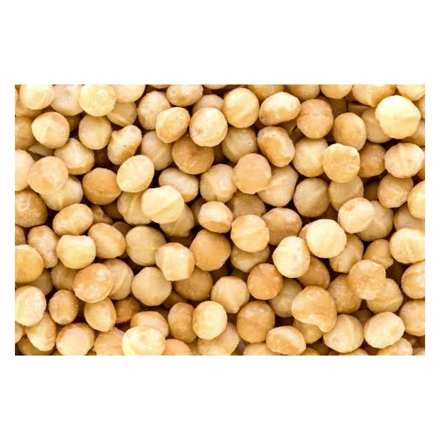 Wholesale bulk macadamia nut price per kg suppliers premium quality