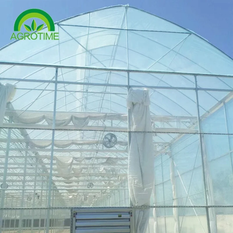 Multi Span Greenhouse Polycarbonate Hydroponics Greenhouse Tunnel