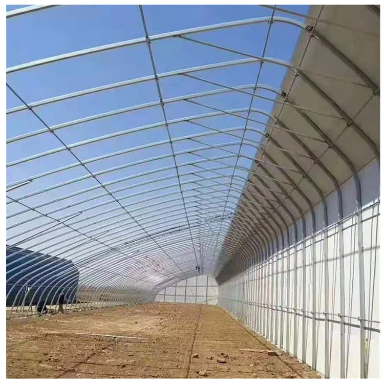 Skyplant Passive Solar Greenhouse Low Cost Passive in-solar greenhouses