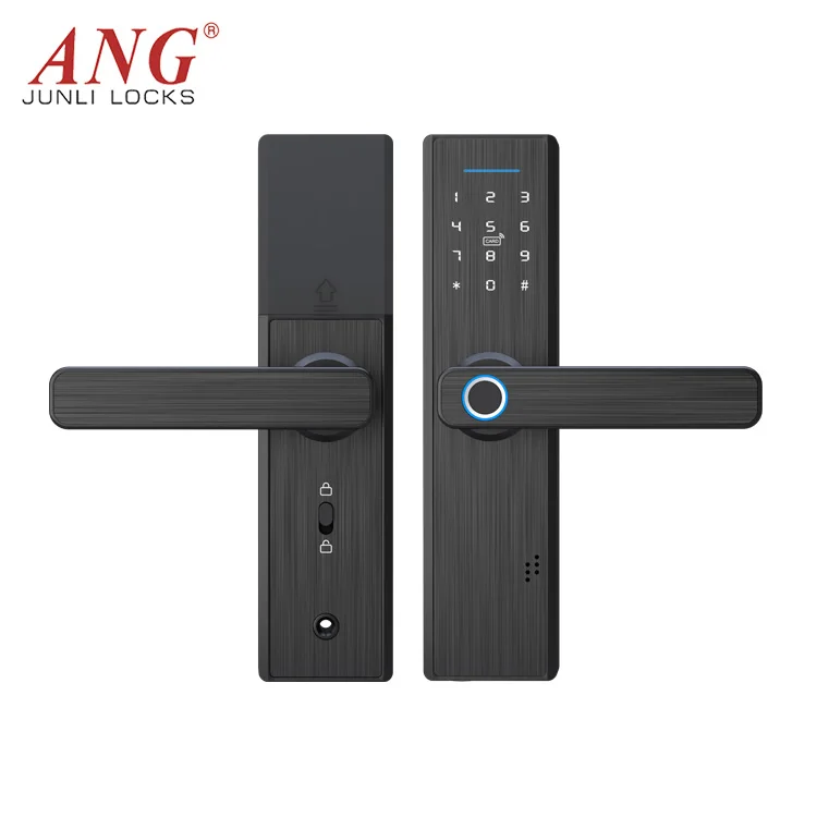 Innovative Product Electronics Technology Wifi App Access Fingerprint Smart Door Lock Set
