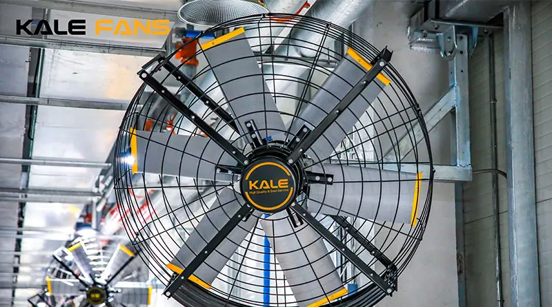 Kale Air Free Series 2m Big Air Voulume Wall Mounted Hvls Fan for Industrial Application