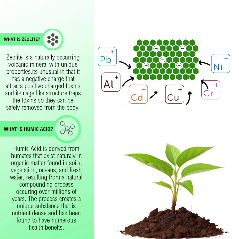 Vitahealthy factory supply Wholesale Zeolite gummies healthcare support health strength supplement Activated Zeolite gummies