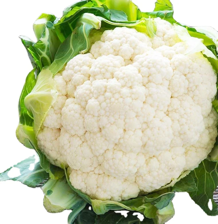 Свежий Капучинатор и замороженные цветы, овощной Капучинатор для оптовой продажи, желтый и белый цветок