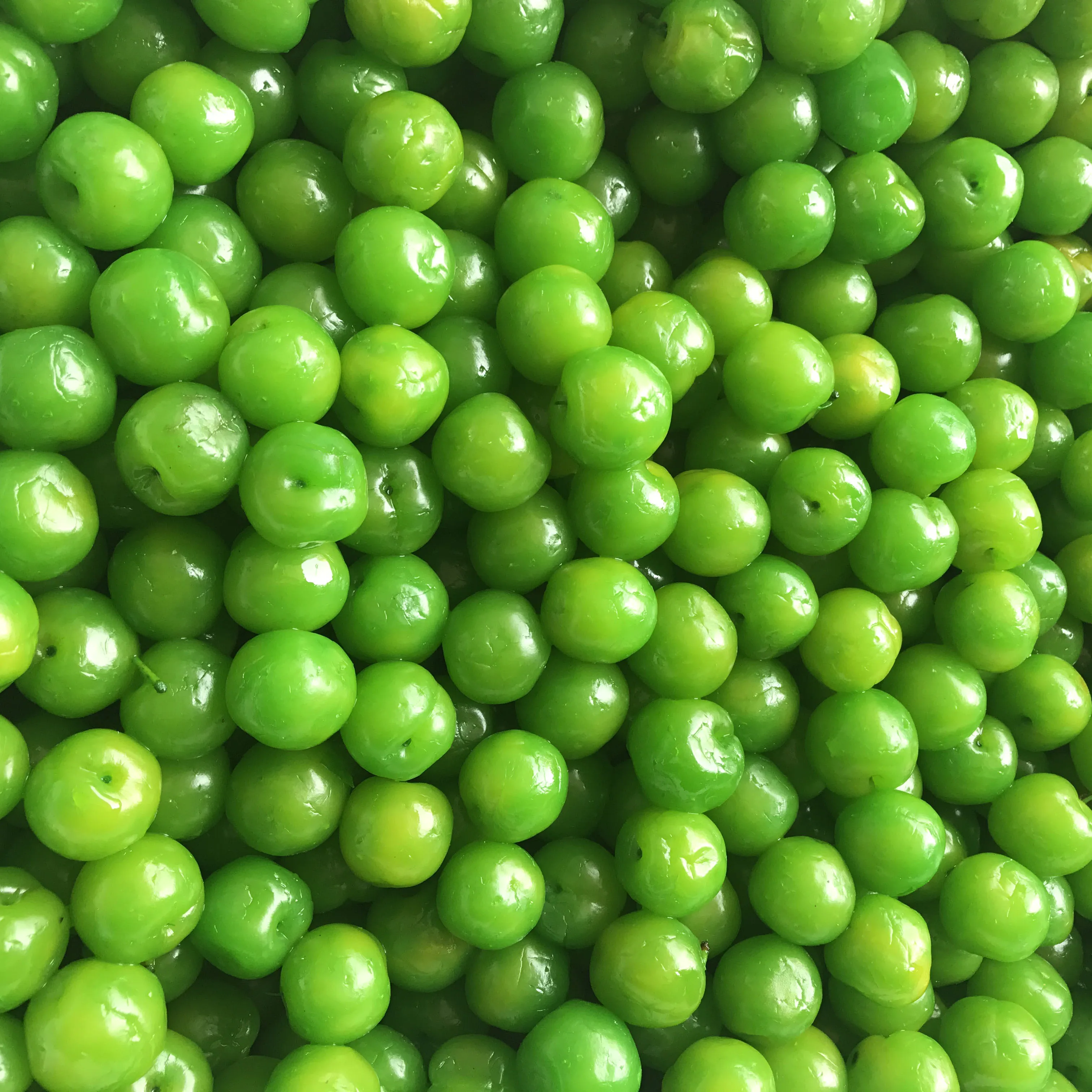 
Hot sell delicious Fruit Canned Sweet Preserved Plum 