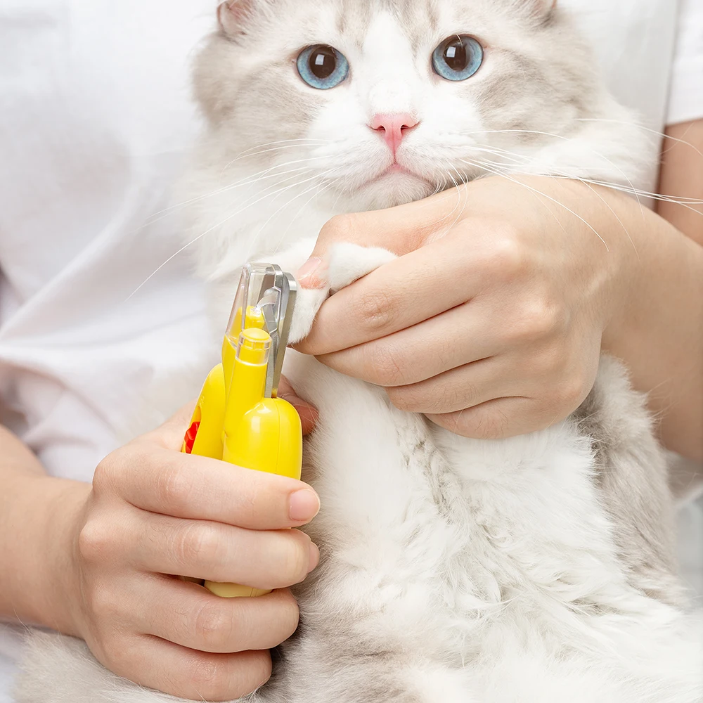 Pet Dogs Cats Nail Manufacture Nail Clippers Pet Nail Clipper With File For Pet Beauty