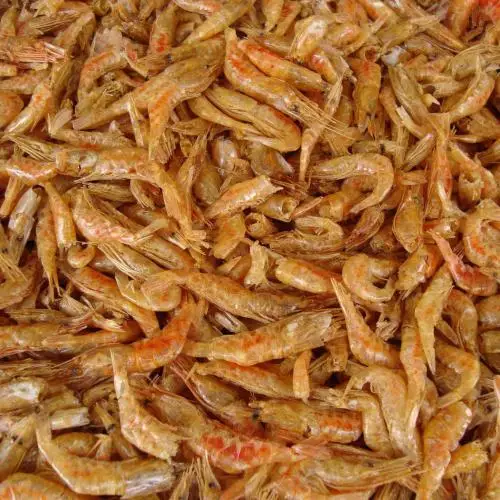 Natural dried shrimp for pets