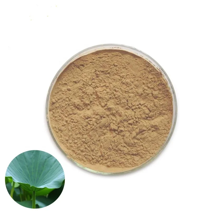 
100% natural raw material lotus leaves extract powder china herb extract for weight loss 