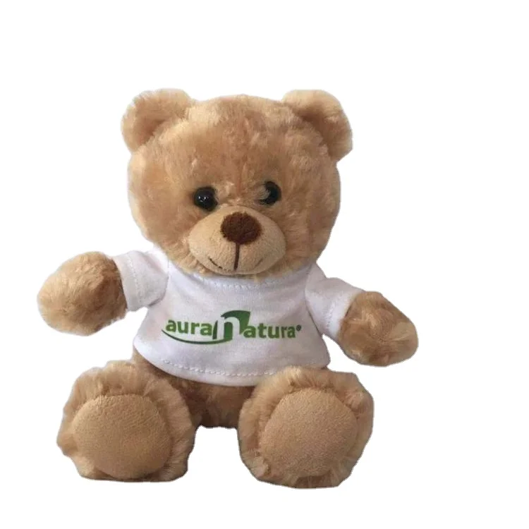 plush teddy bear in T-shirt