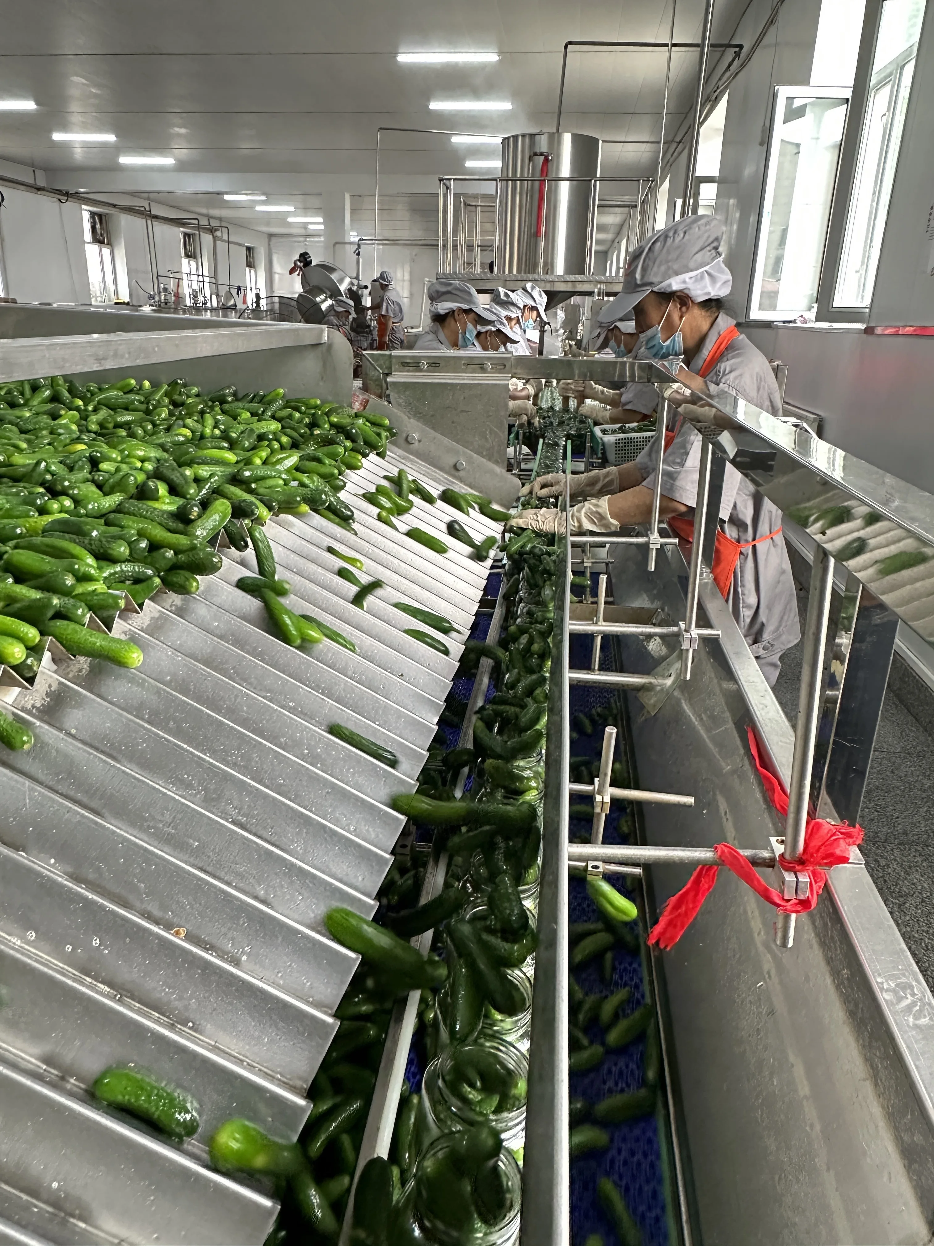 Factory Supply Delicious Pickled Cucumber in Canned Gherkins Pickles Canned Vegetable Delicious Fresh Canned Food