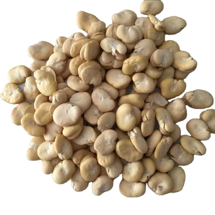 China Origin Peeled Split Fava Beans Dry Broad Bean Without Shell