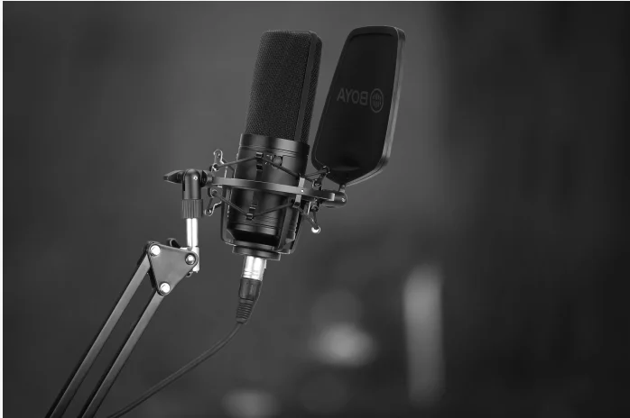 BOYA BY-M1000 Condenser Microphone Large Diaphragm Professional studio Microphone for sing video recording