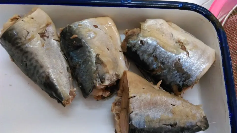 
Canned Mackerel Fish 
