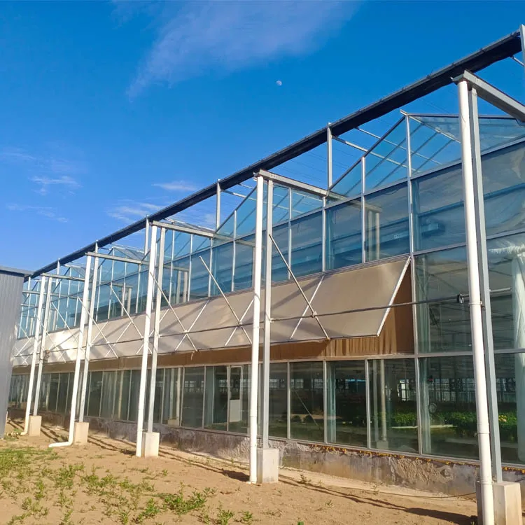 Greenhouse Garden Green House Outdoor Rainproof Plant Cover Backyard photovoltaic solar glass greenhouses