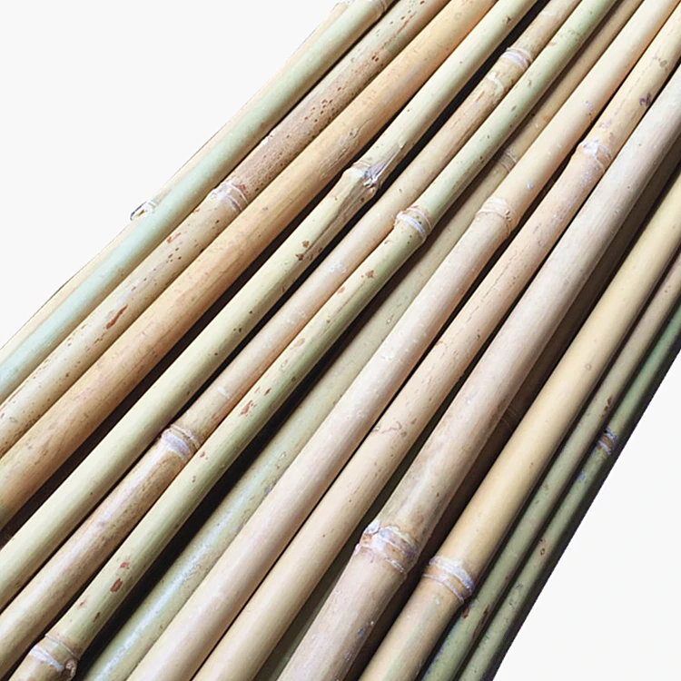 Decorative Dry Bamboo Poles