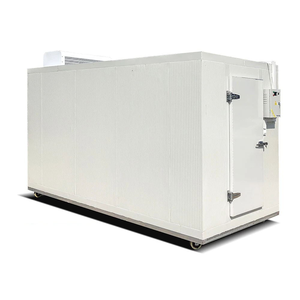 Customized Cold Room Supplier Air coolers Refrigeration Freezer Cold Storage Container Cold Rooms