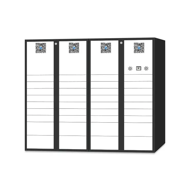 Смарт-багажный шкафчик с кодом