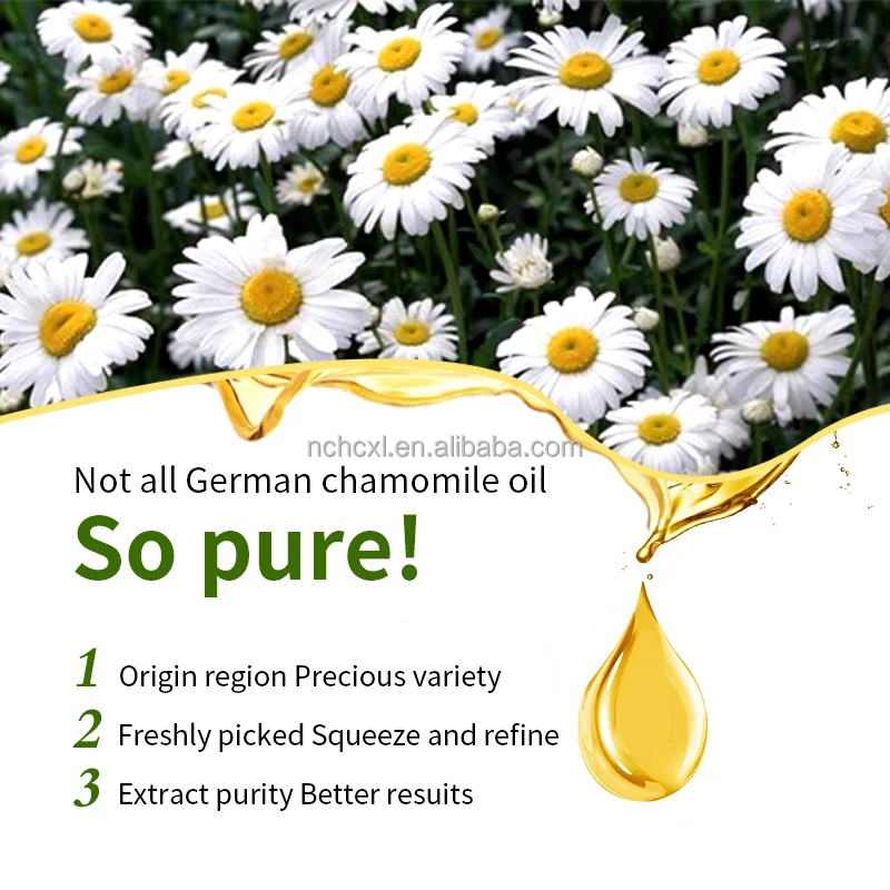 High Quality 100% Pure Organic Roman Chamomile Essential Oil Natural Food Grade Plant Extract