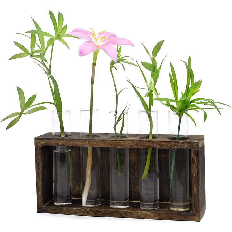 Ваза с деревянной рамой и стеклянным растением