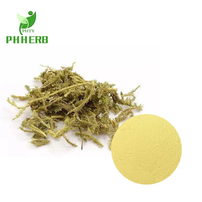 
Factory supply light heavy lycopodium spore powder common club moss dragon breath powder 