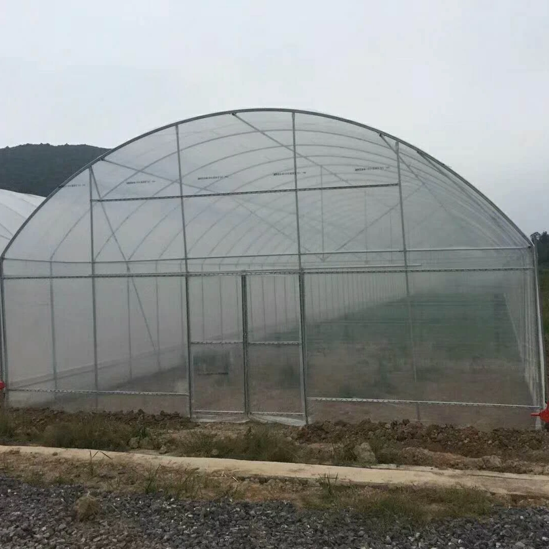 
Agriculture/Farm/Multi-Span/Single-Span/Tunnel Plastic Film Green House/Greenhouse for Vegetables/Flowers/Tomato/Garden 