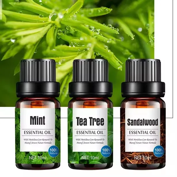 OEM Organic Pure Aroma Oil Skin SPA Tea Tree Oil Sandalwood Eucalyptus Rose Lavender Jasmine Chamomile Massage Essential Oil