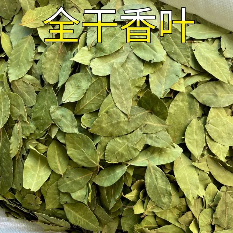 Top quality cook spice and Wholesale product   laurel leaves