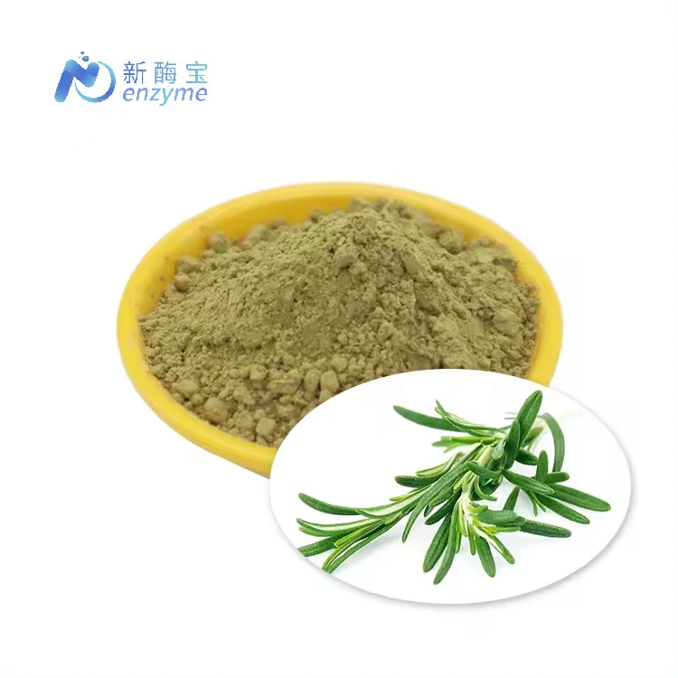 Novenzyme Supply Hot Sale Rosemary Extract Preservative Rosmarinic Acid