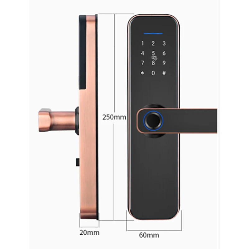 Smart Digital fingerprint european style intelligent Alexa App Handle door lock electronic ttlock Wifi wood door lock
