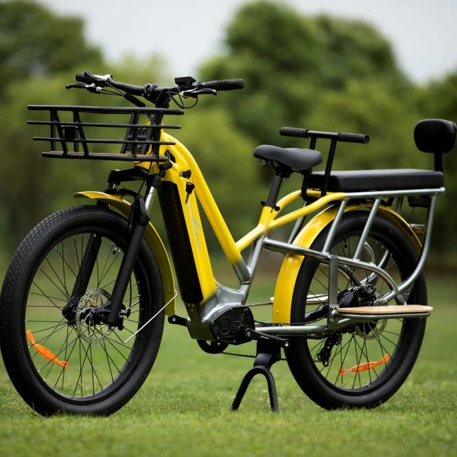 48V750W Brushless Motor ebike e-cargo e bicycle bike bicycle delivery electric bike 2 wheel electric cargo bike