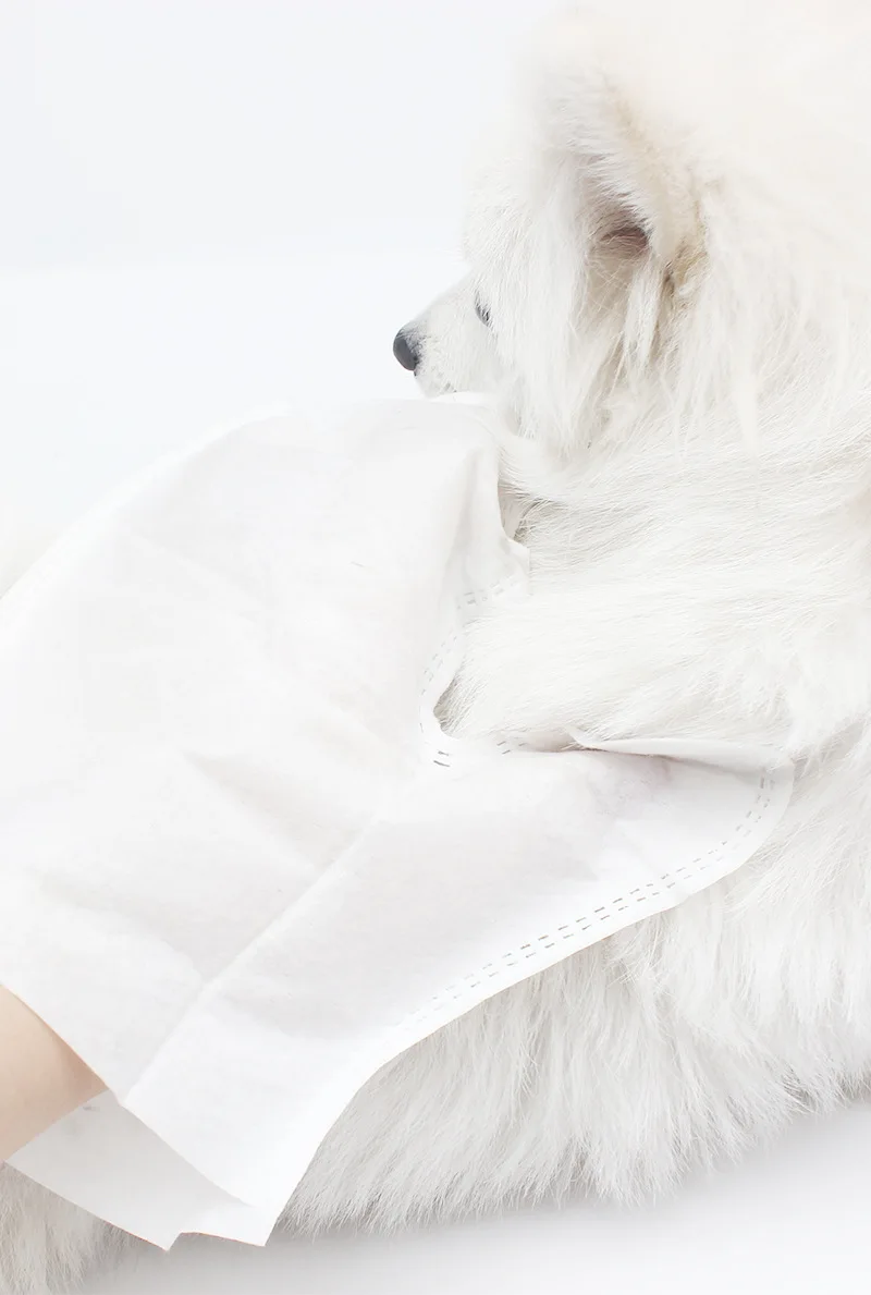 New Product Disposable Gloves Pet SPA Wipes Bathing Clean Gloves Cat and Dog Bathing no rinse free pet wipes glove