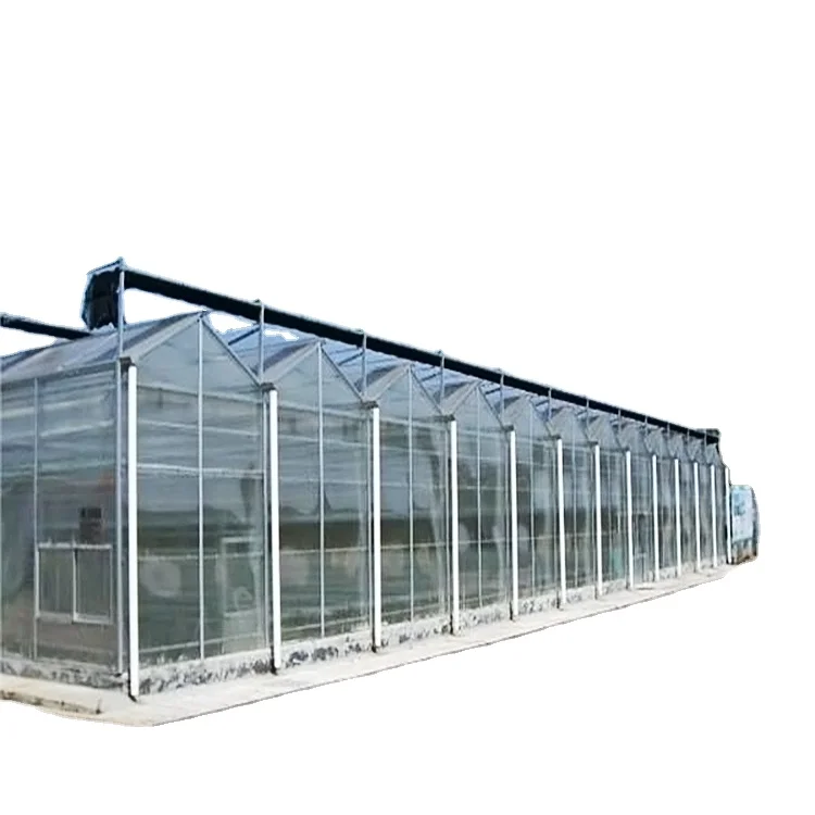 Tempered  greenhouse glass ,vegeatable seeds greenhouse