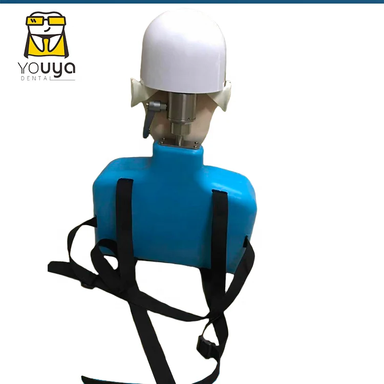 Simulation Tooth Brushing Extraction Human 3 Dimensional Diseased Model