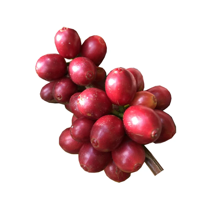 Натуральные кофейные зерна Robusta