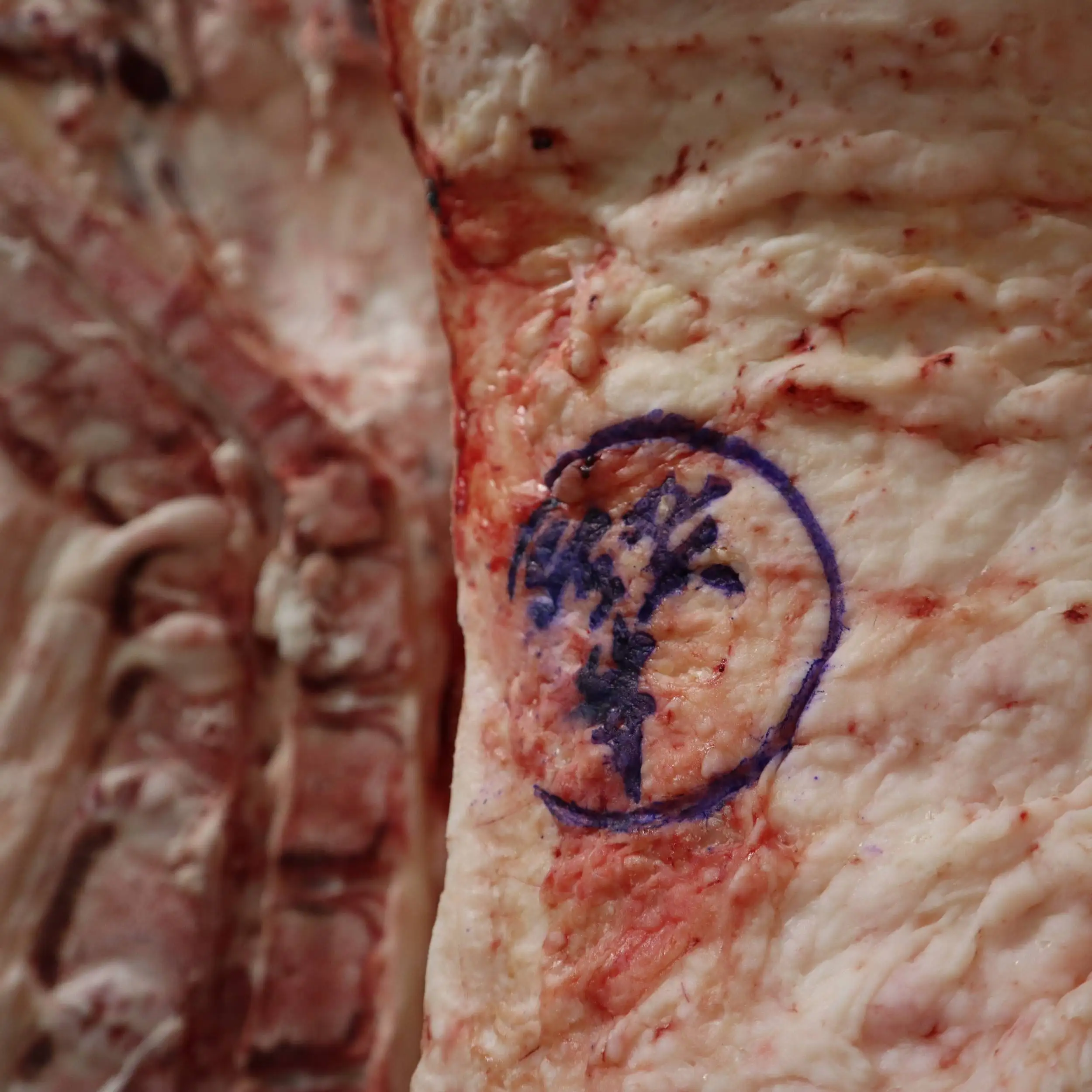 Fresh Full Set Exotic Frozen Beef Bulls Meat From Japanese Wagyu