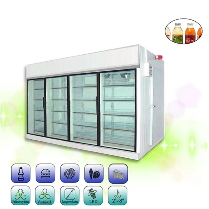 Walk in Cooler Walk in Freezers 220v110v Refrigerators and Freezers Refrigeration Energy Saving 100-240V