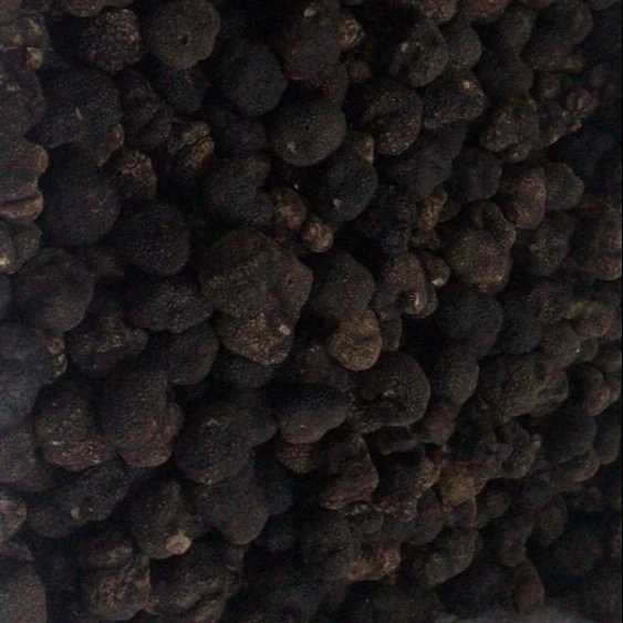 
Detan Forest Perigord Black Winter Truffle Tuber Indicium 