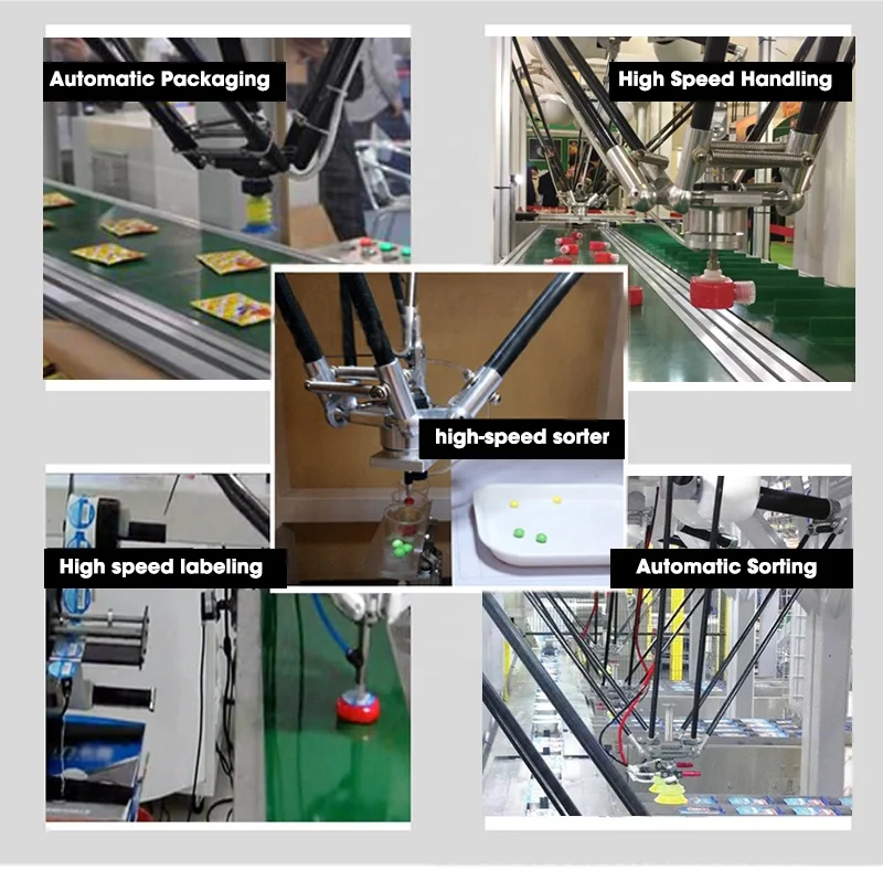 Top Sale Packaging Machinery Automotive Industry Delta Robotic Machine Linear Manipulator