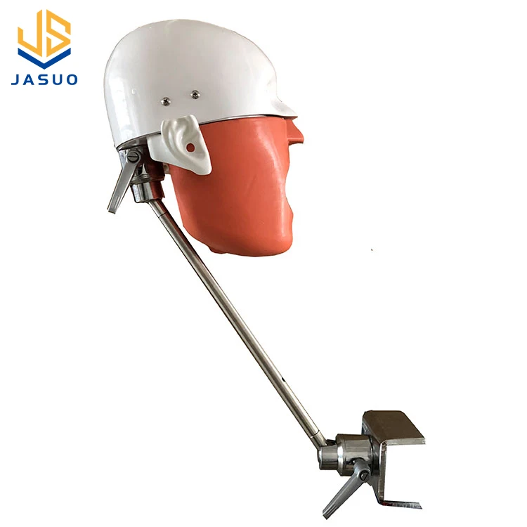 Factory Direct Sell Medical Science Educational Adult Teeth Dummy Dental Model