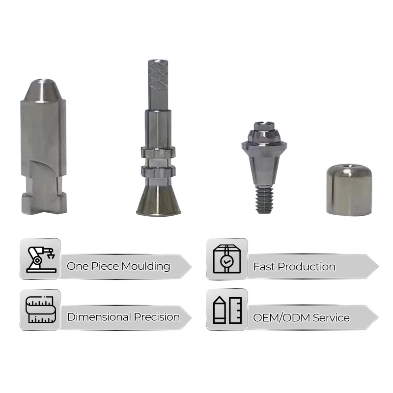 Cnc Oem Custom Implant Abutment Titanium Healing Abutment High Quality Multi-unit Implant Abutment
