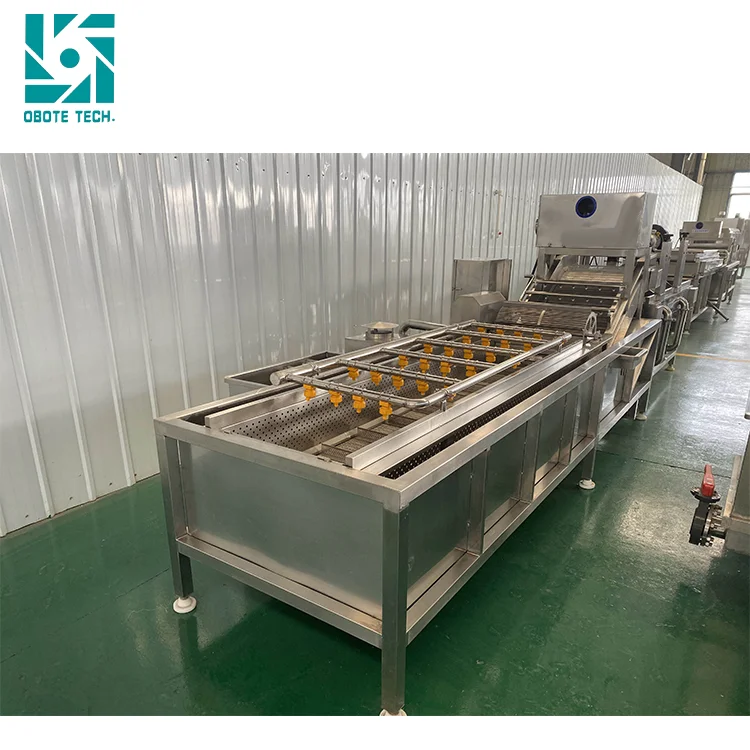 stainless steel meat washer mini carrot washing machine